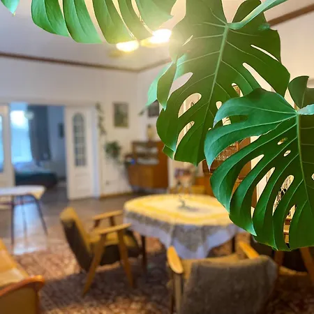 Uzdrowiskowe Retro By Libertarent Apartment Bad Salzbrunn